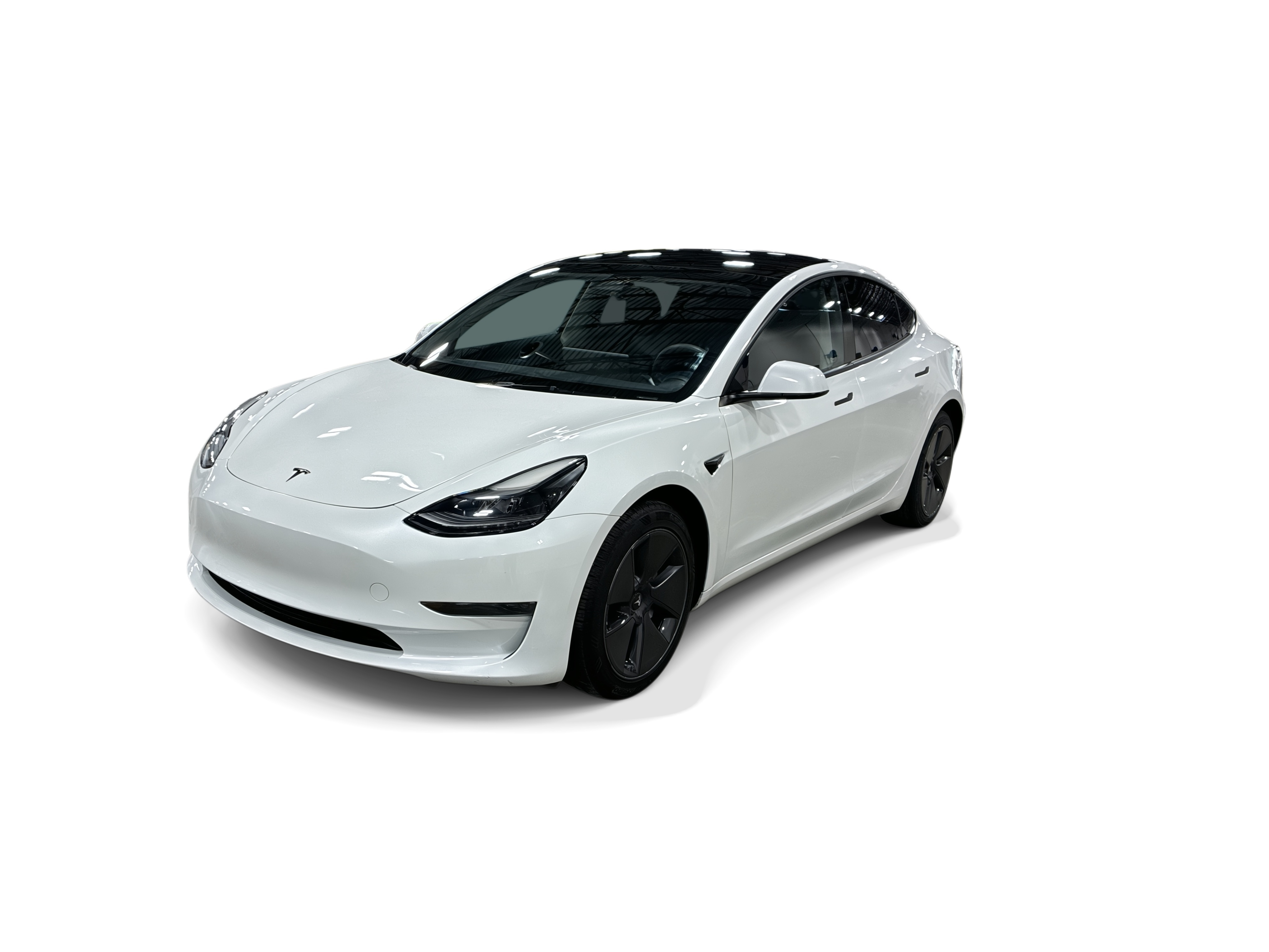 tesla model 3 2023 5YJ3E1EA4PF590513 image tesla model 3 2023 5YJ3E1EA4PF590513 image